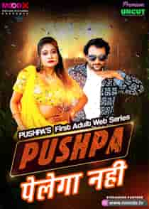 Pushpa Pelega Nahi (2025) Hindi Web Series